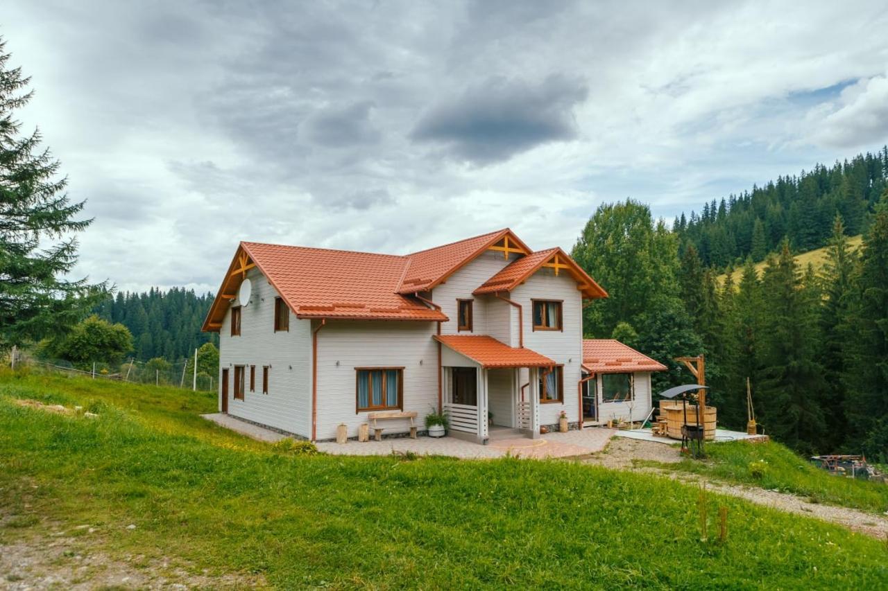 Khata Lisnyka Verkhovijna Rom bilde